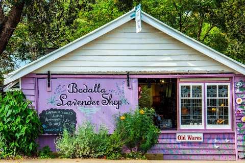 Photo: Bodalla Lavender Shop